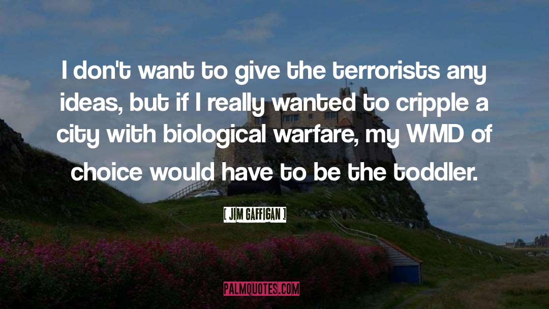 Biological Warfare quotes by Jim Gaffigan