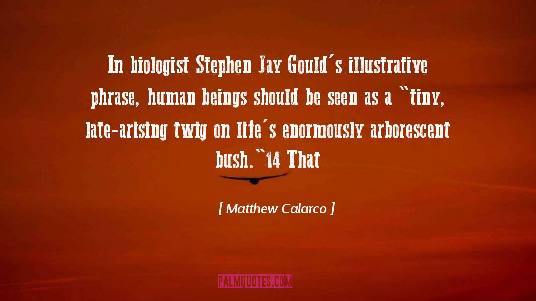 Biologist quotes by Matthew Calarco