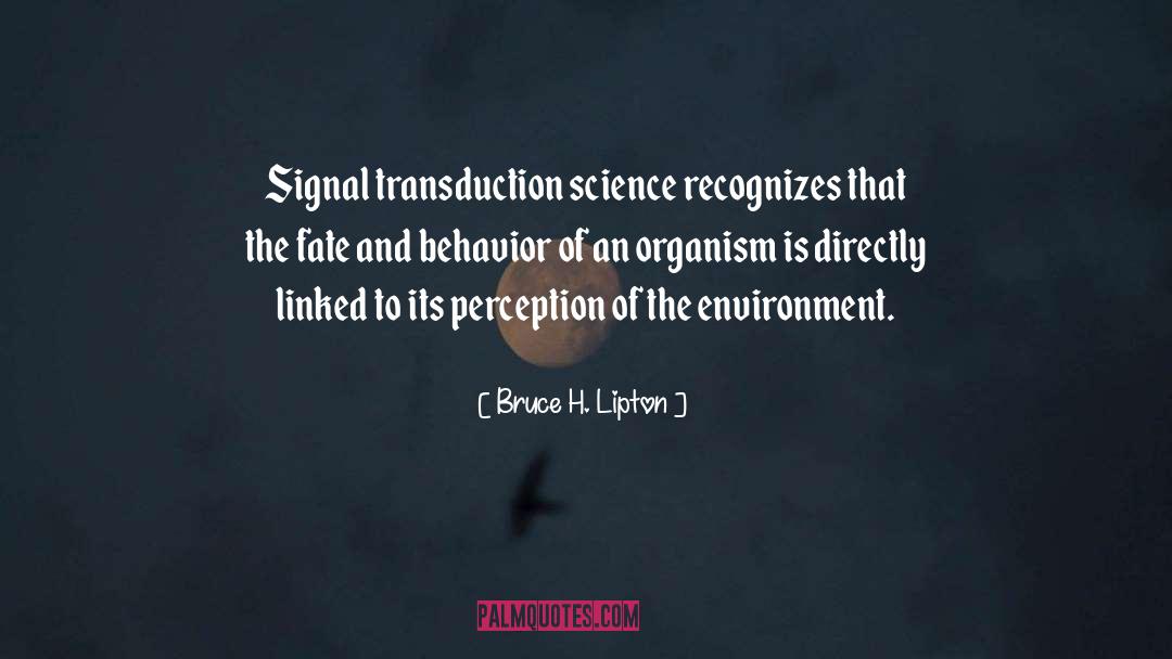 Biology quotes by Bruce H. Lipton