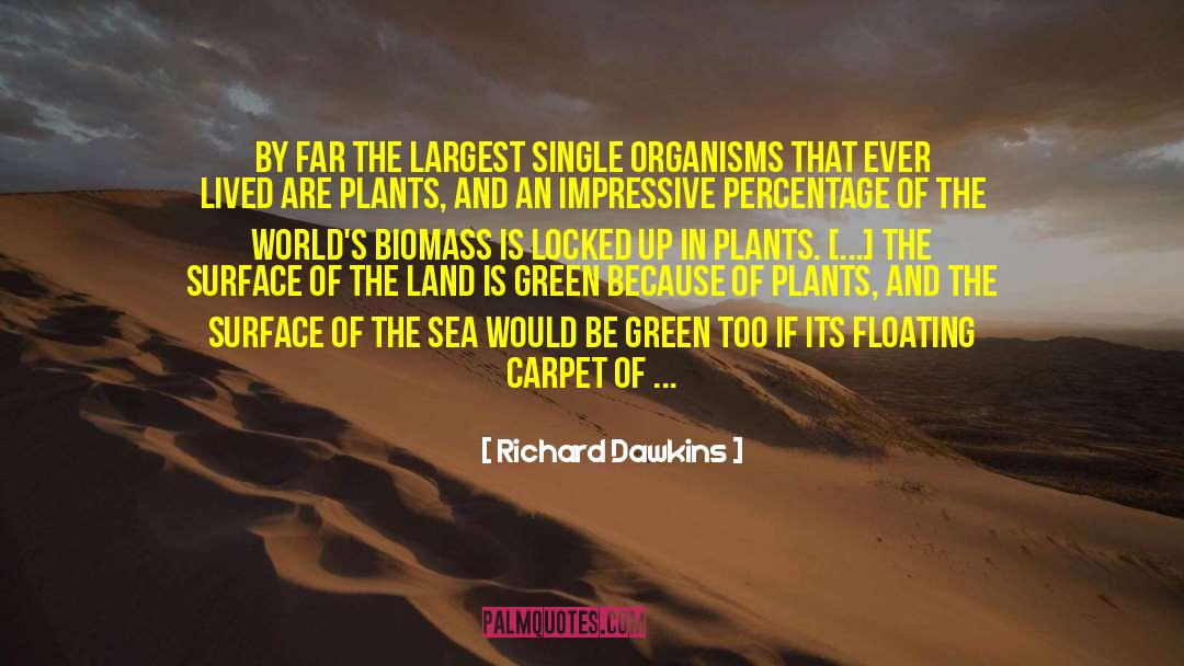 Biomass quotes by Richard Dawkins