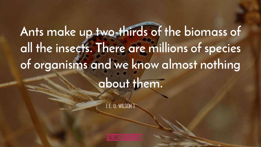 Biomass quotes by E. O. Wilson