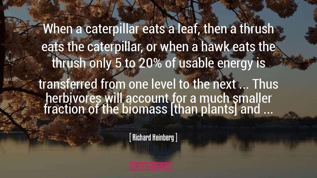 Biomass quotes by Richard Heinberg