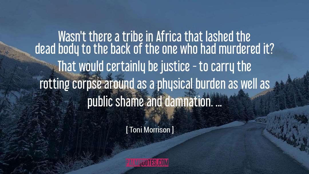 Bioregionalism Africa quotes by Toni Morrison