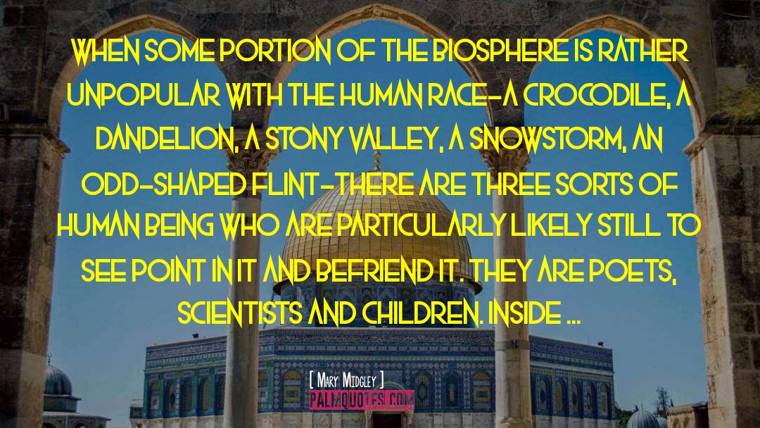 Biosphere quotes by Mary Midgley