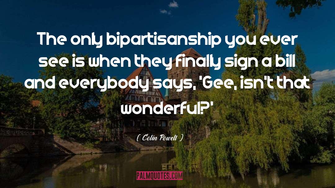 Bipartisanship quotes by Colin Powell