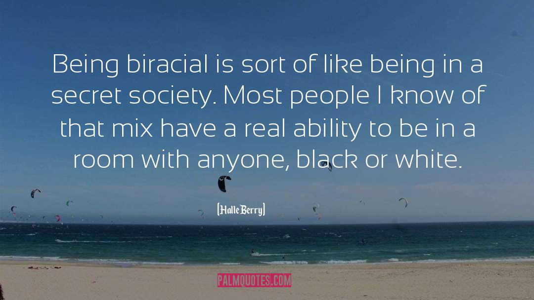 Biracial quotes by Halle Berry