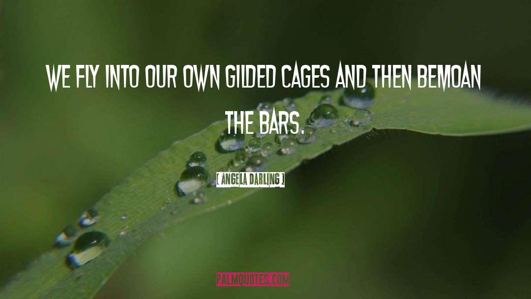 Bird Cages quotes by Angela Darling