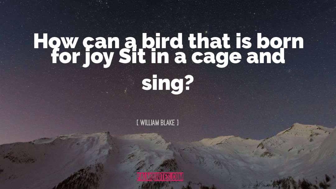 Bird Cages quotes by William Blake