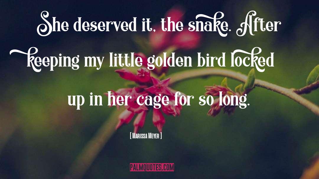 Bird Cages quotes by Marissa Meyer