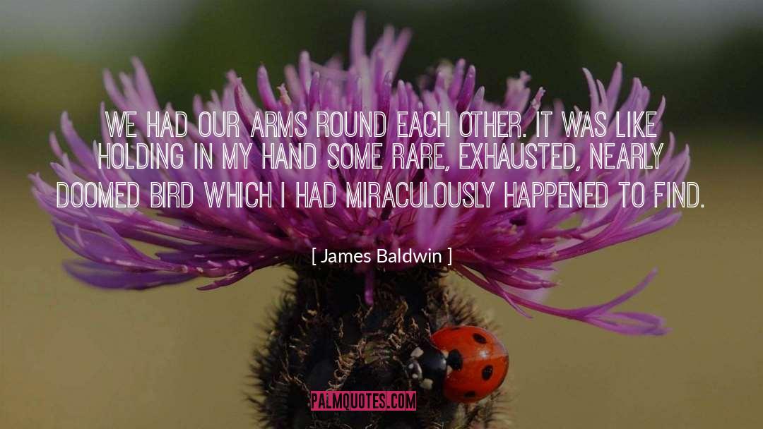 Bird Cages quotes by James Baldwin