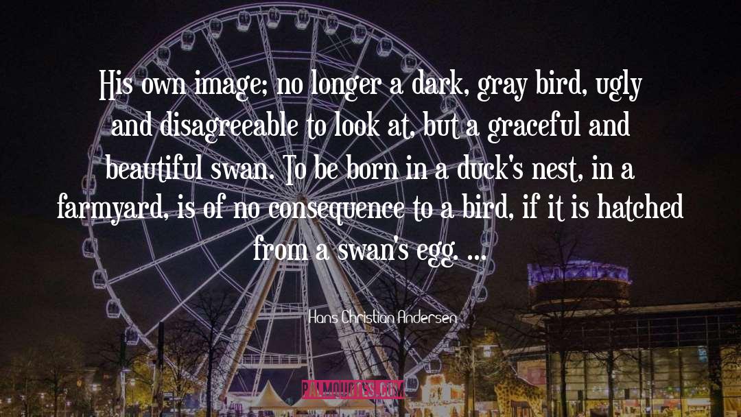 Bird Cages quotes by Hans Christian Andersen