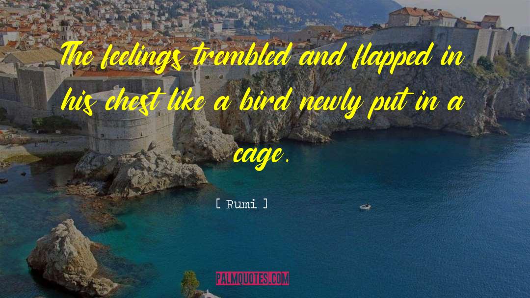 Bird Cages quotes by Rumi