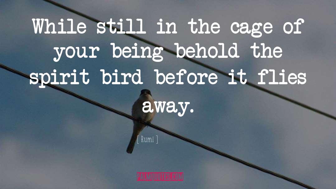 Bird Cages quotes by Rumi