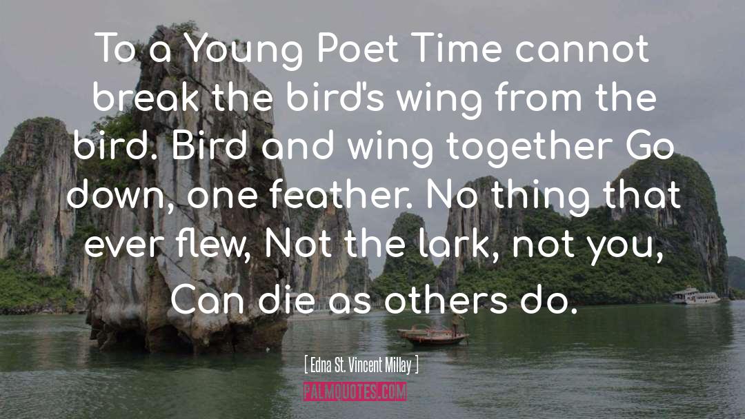 Bird Feeding Baby quotes by Edna St. Vincent Millay