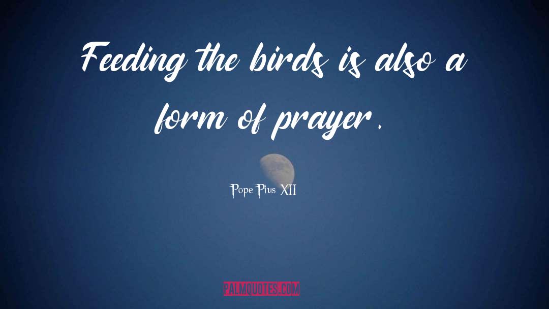 Bird Feeding Baby quotes by Pope Pius XII