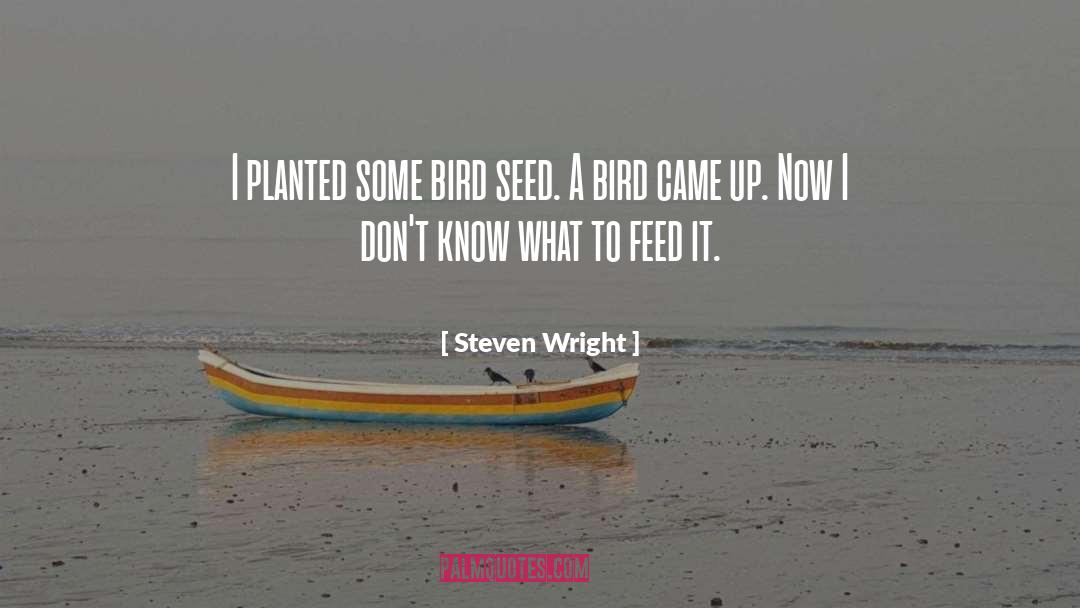 Bird Feeding Baby quotes by Steven Wright