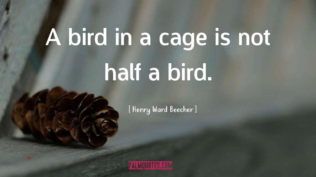 Bird Feeding Baby quotes by Henry Ward Beecher