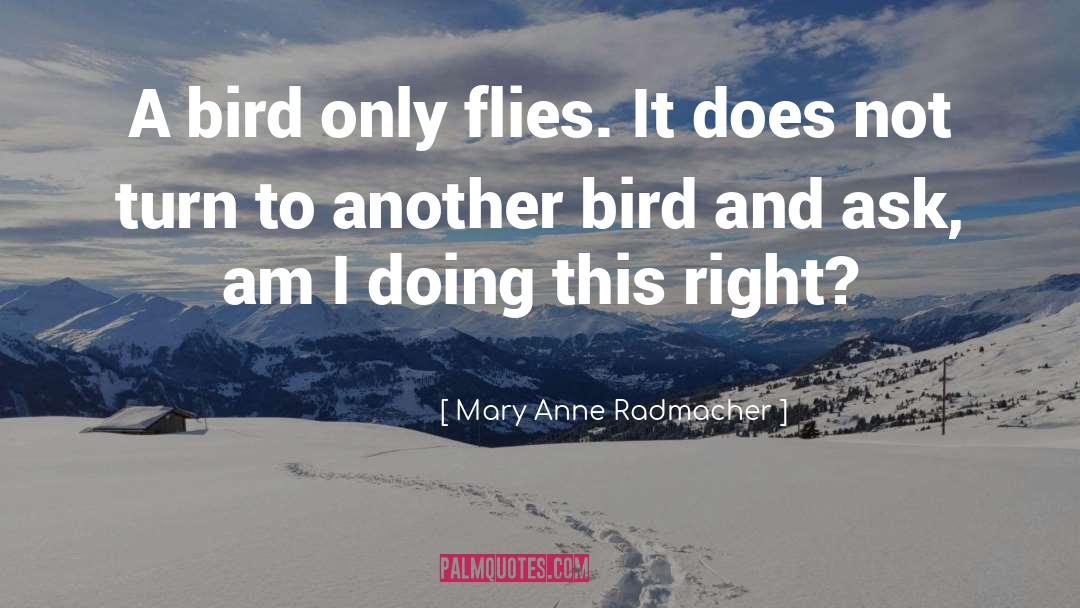 Bird Feeding Baby quotes by Mary Anne Radmacher