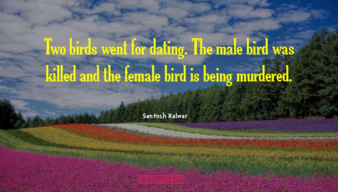 Bird Feeding Baby quotes by Santosh Kalwar