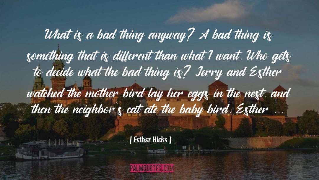 Bird Feeding Baby quotes by Esther Hicks