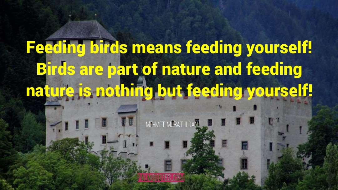 Bird Feeding Baby quotes by Mehmet Murat Ildan