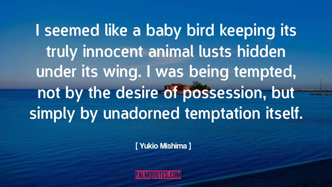 Bird Feeding Baby quotes by Yukio Mishima