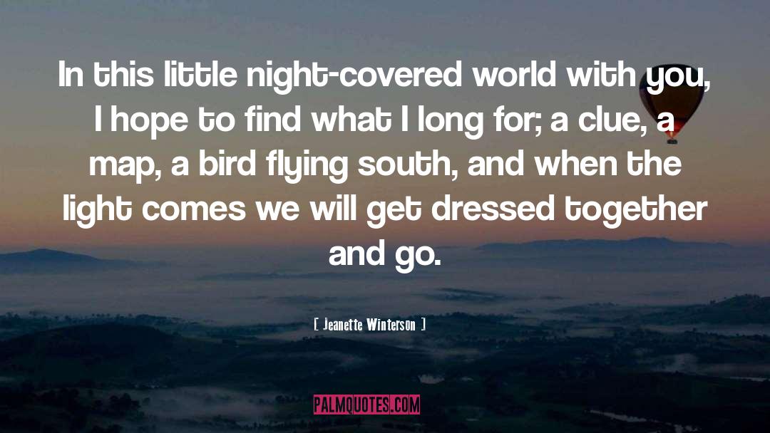 Bird Flying quotes by Jeanette Winterson