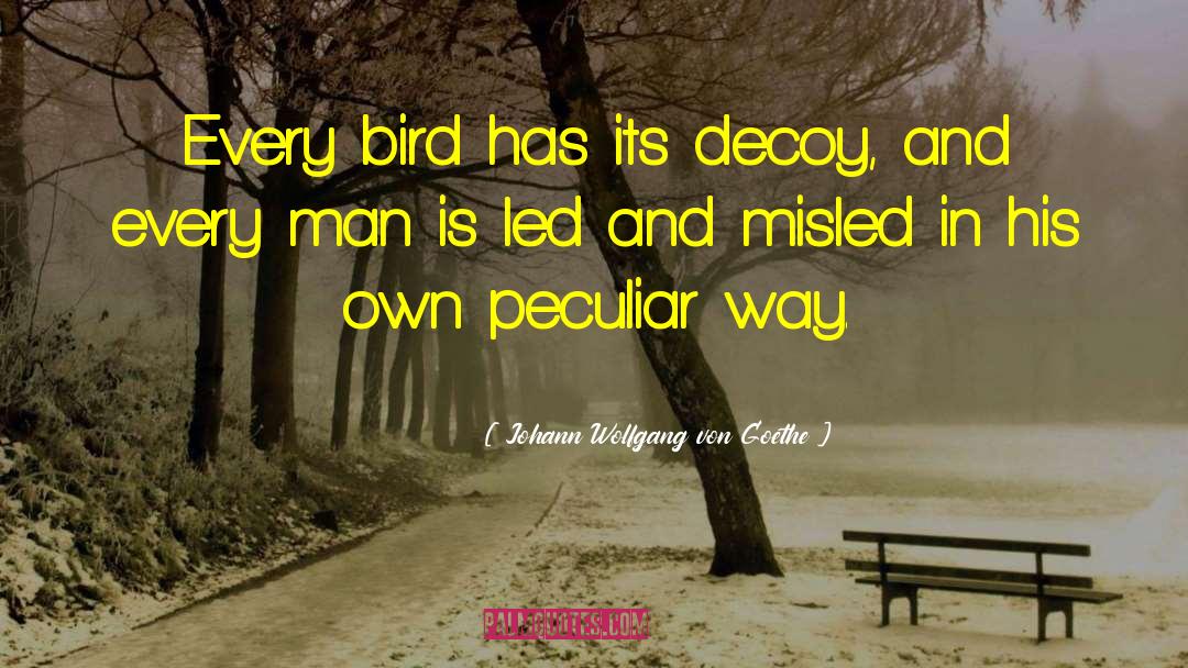 Bird Flying quotes by Johann Wolfgang Von Goethe