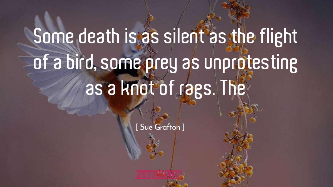 Bird Flying quotes by Sue Grafton