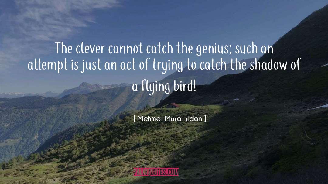 Bird Flying quotes by Mehmet Murat Ildan