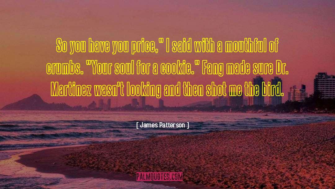 Bird Flying quotes by James Patterson