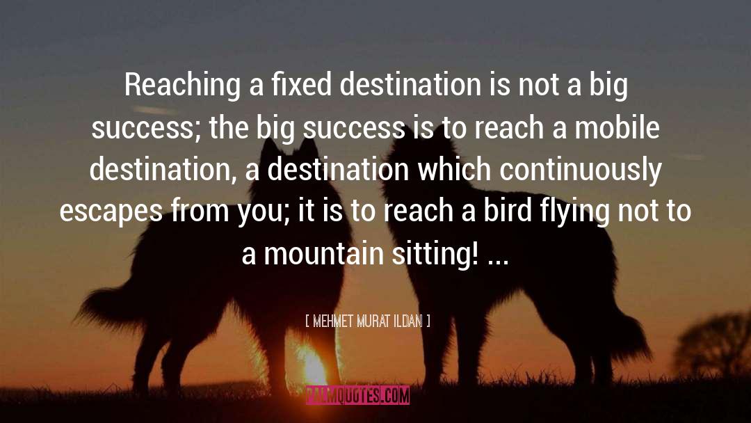 Bird Flying quotes by Mehmet Murat Ildan