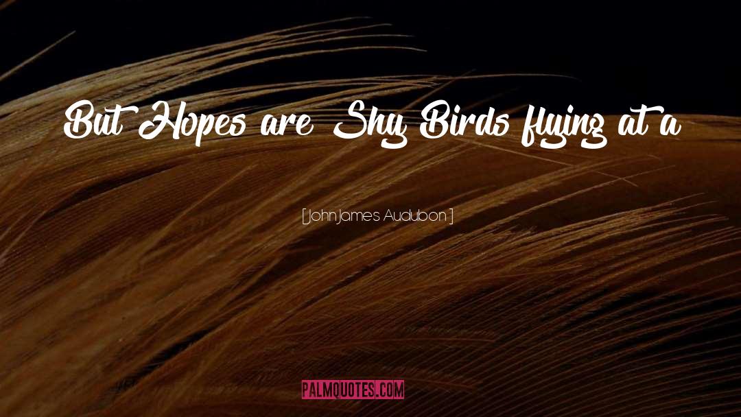 Bird Flying quotes by John James Audubon