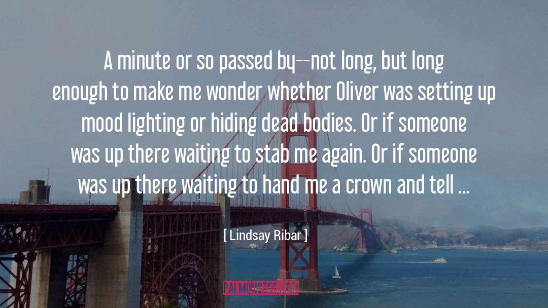 Bird Flying quotes by Lindsay Ribar