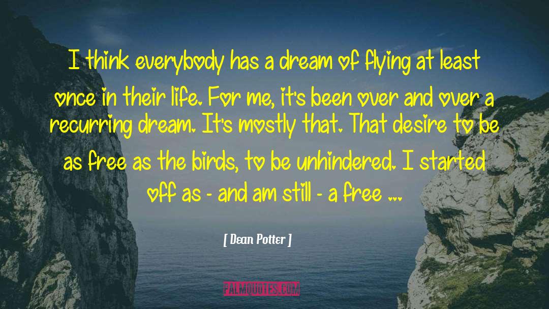 Bird Flying quotes by Dean Potter