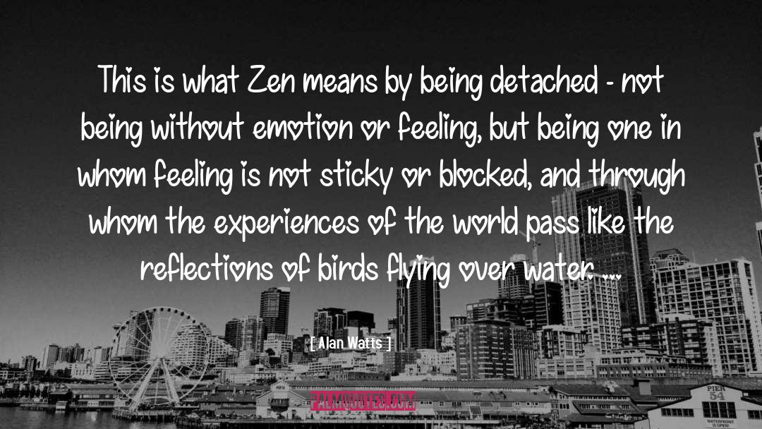 Bird Flying quotes by Alan Watts