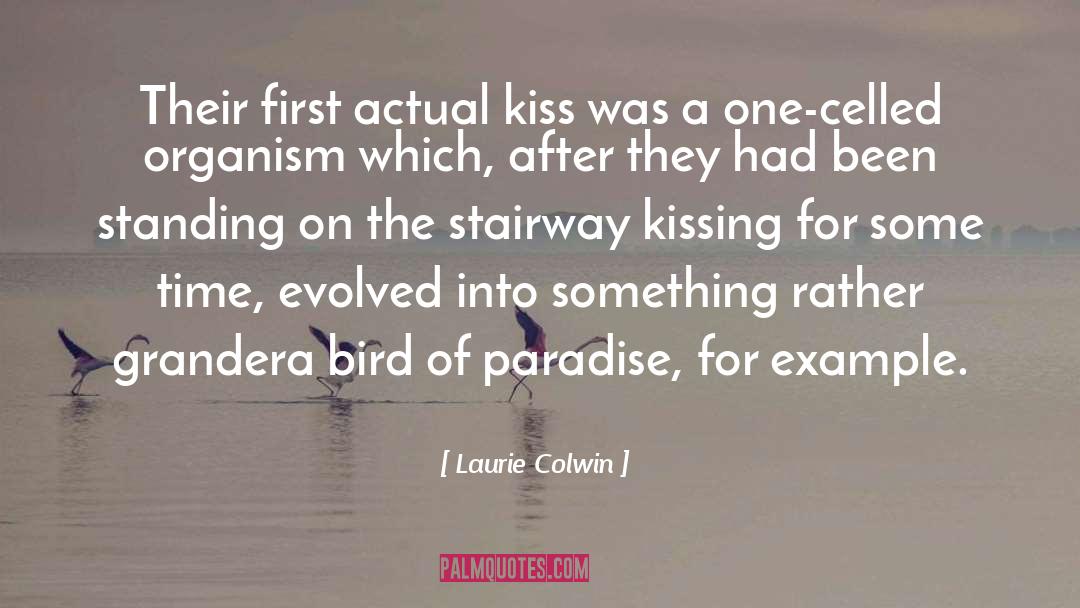 Bird Of Paradise quotes by Laurie Colwin