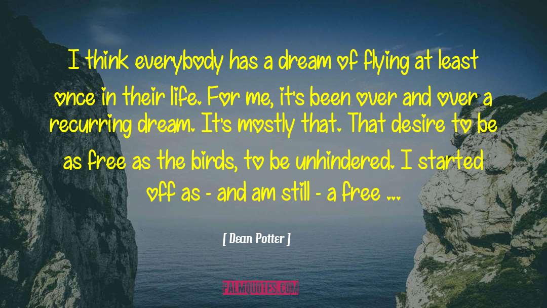 Bird Of Paradise quotes by Dean Potter