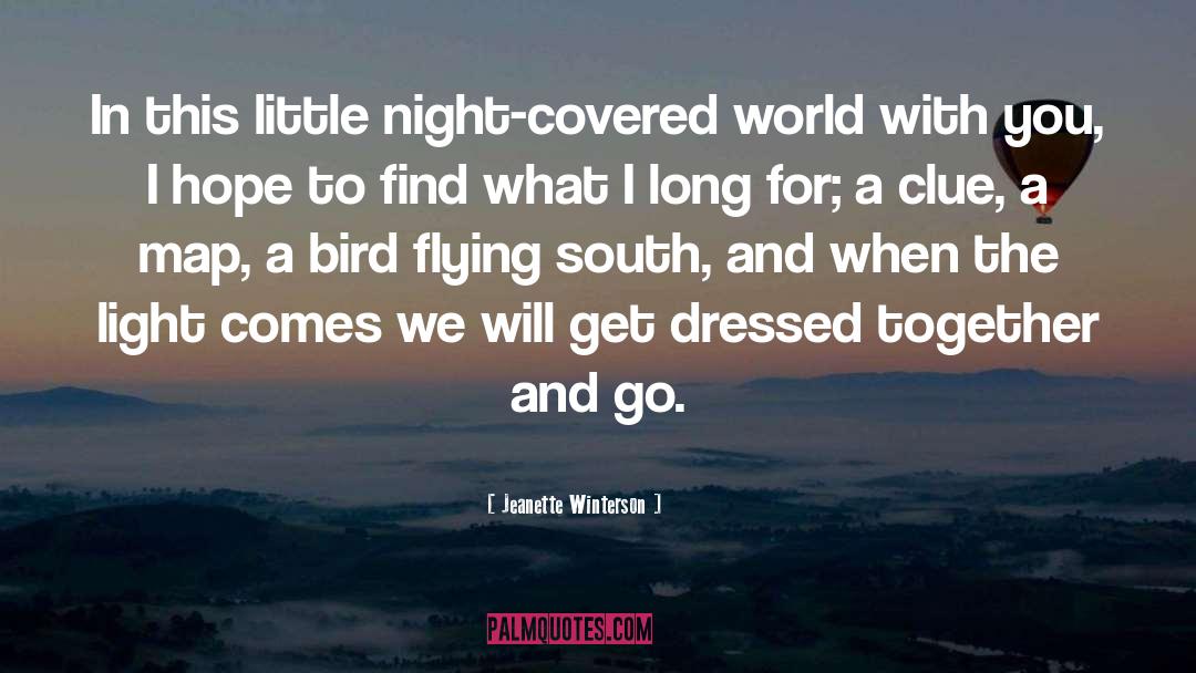 Bird quotes by Jeanette Winterson