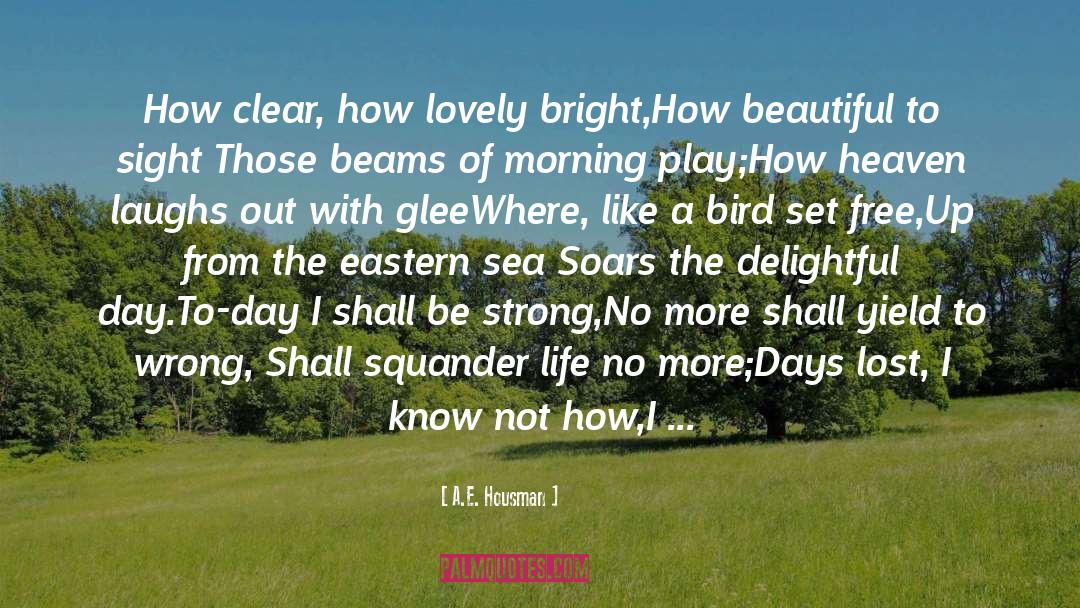 Bird quotes by A.E. Housman