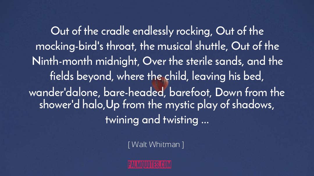 Bird quotes by Walt Whitman