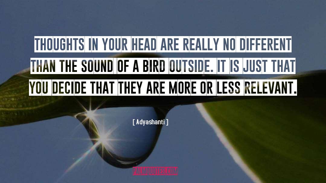 Bird quotes by Adyashanti