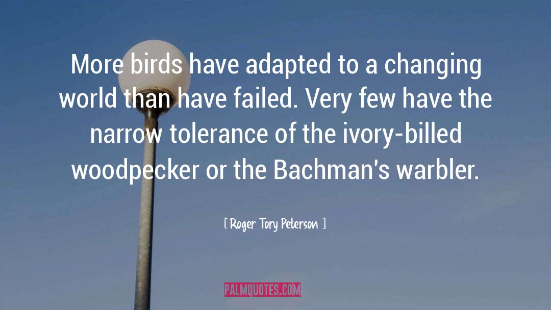 Bird quotes by Roger Tory Peterson