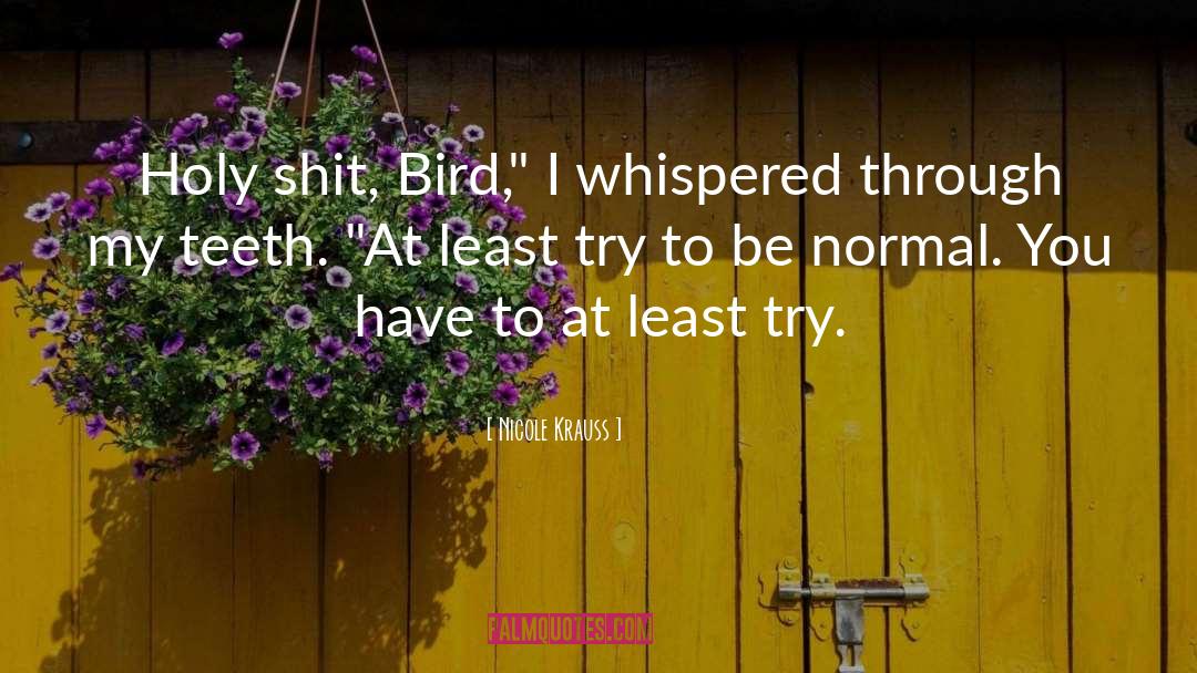 Bird quotes by Nicole Krauss