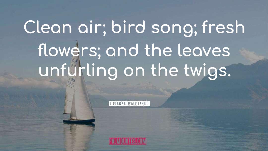 Bird Song quotes by Pierre D'Alverne