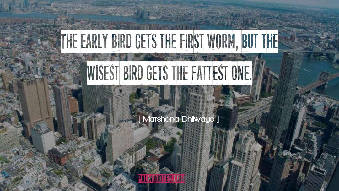 Bird Song quotes by Matshona Dhliwayo