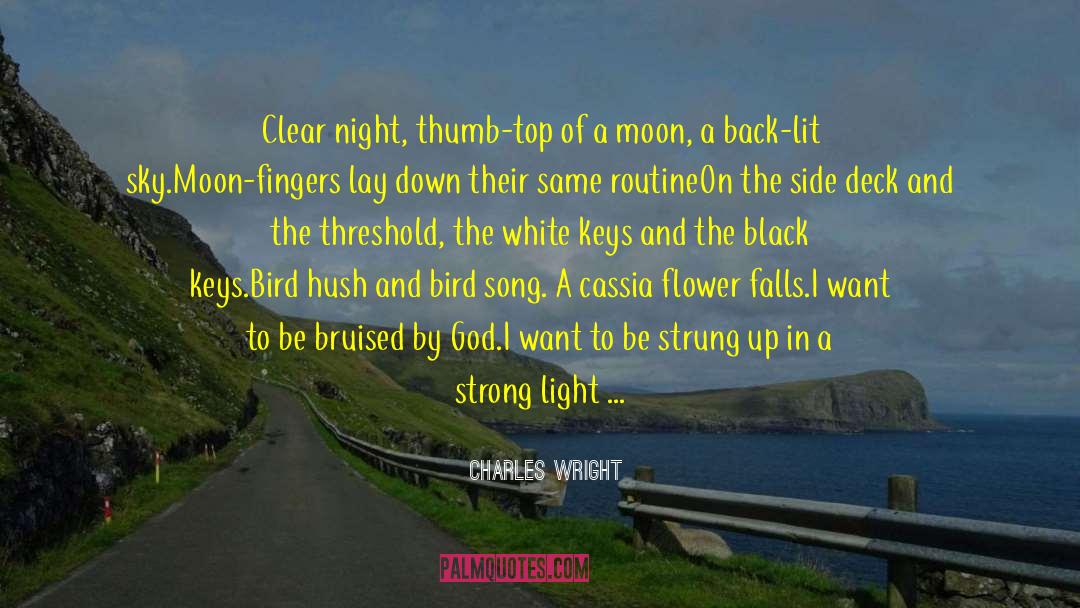 Bird Song quotes by Charles Wright
