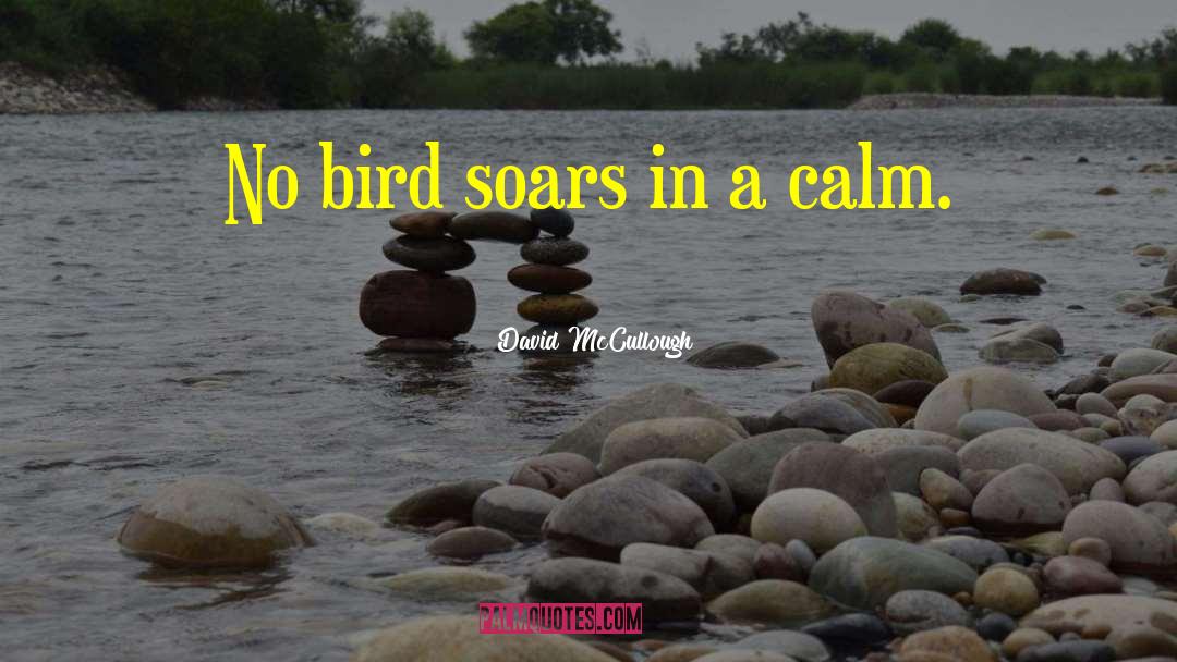 Bird Songs quotes by David McCullough