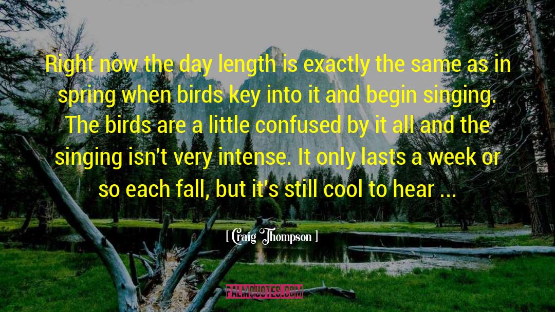 Bird Songs quotes by Craig Thompson