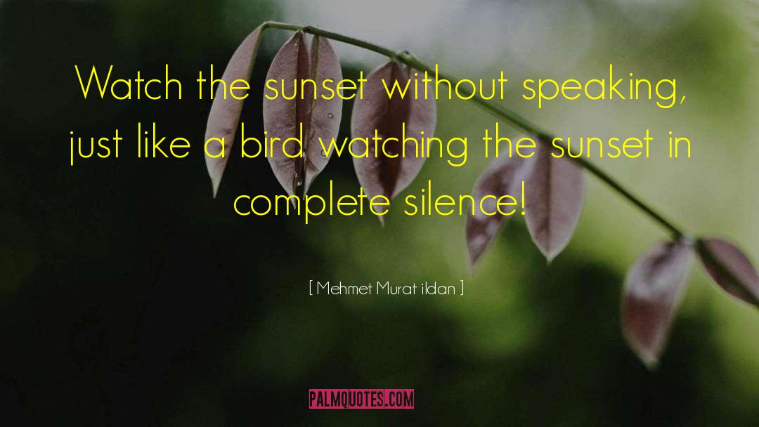 Bird Watching quotes by Mehmet Murat Ildan